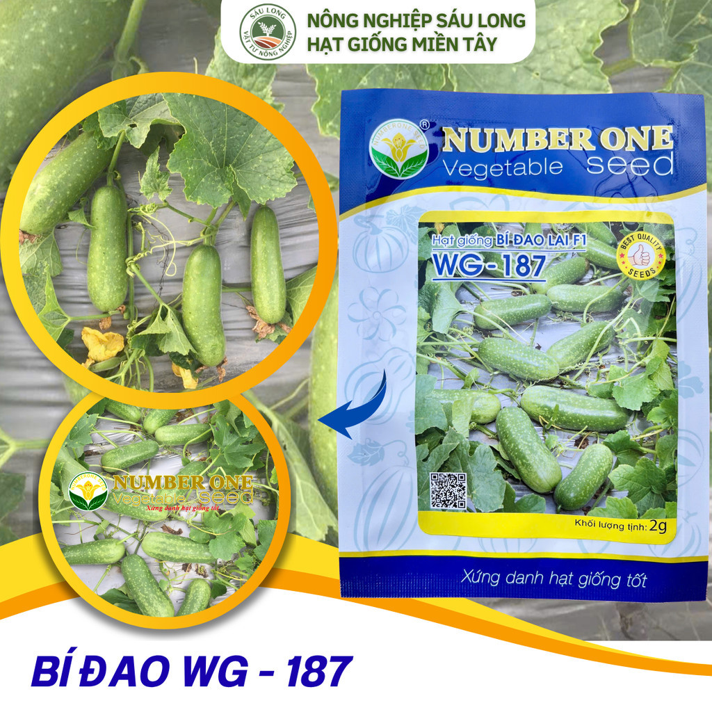 NUMBER ONE - WG - 187 giống BÍ ĐAO LAI F1 / GÓI 2GR tầm 100 hạt
