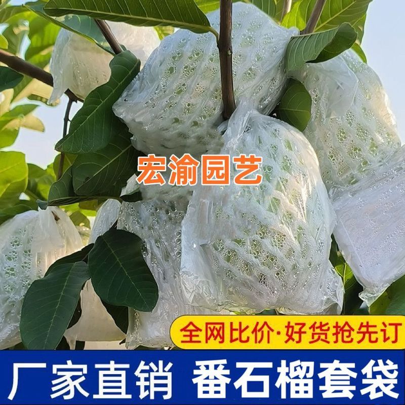 番石榴套袋芭乐网套红心番石榴专用防虫网套袋水果一体泡沫网批发Guava insect proof sleeve bag, special all-in-one foam mesh sleeve bag