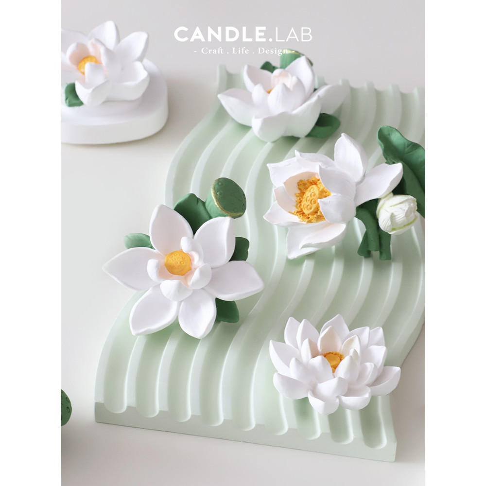 CANDLE.LAB | Lotus Lotus Lotus Leaf Lotus Pod diy Handmade Hương Liệu Thạch Cao Khuếch Tán Đá Nến Kh