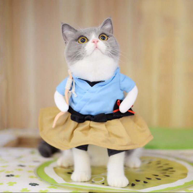 Douyin Cùng Phong Cách Quần Áo Mèo Urashima Taro Mimi Quần Áo Ngộ nghĩnh Quần Áo Mèo Quần Áo Thẳng t