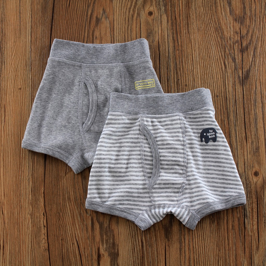 Hai Mảnh Quần Lót Trẻ Em Bé Trai Boxer Cotton Nguyên Chất Bé Trai Nhật Bản Quần Short Học Sinh Boxer