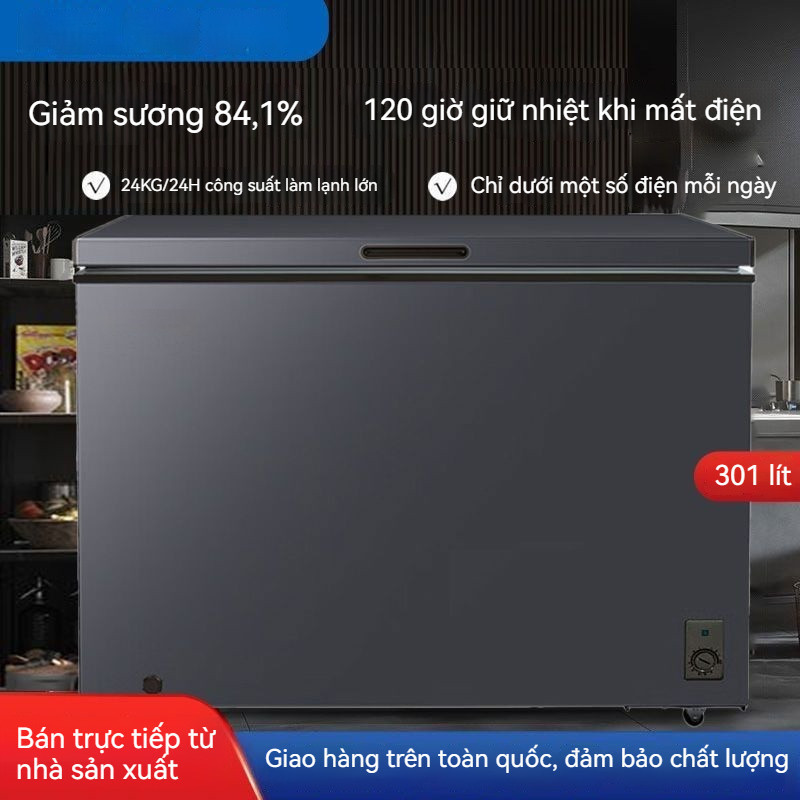 F1-C1-newTủ đông một nhiệt độ làm lạnh trực tiếp. Tủ làm lạnh và đông lạnh ngang nhỏ. - Freezer