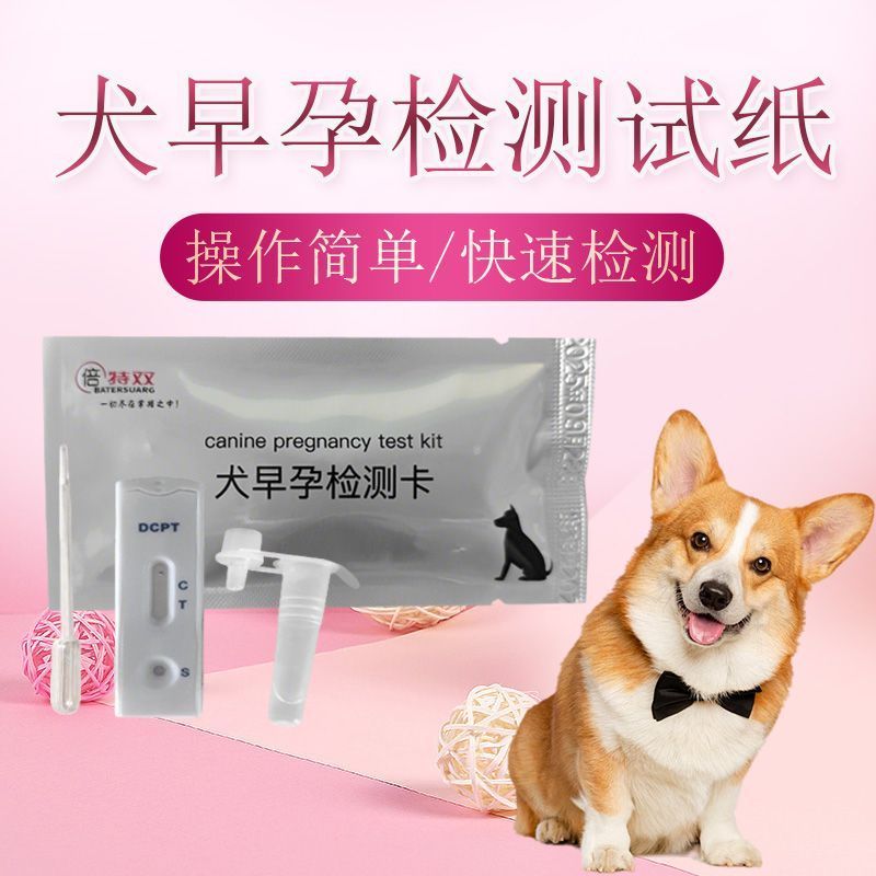 T Test Dogs Early Dogs Test Paper Sticks Chuyên dụng Dog Test Chính xác Mang thai sớm Sheka 4.25 Fas