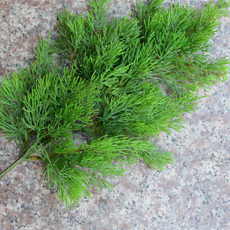 Mô Phỏng Rồng Cypress Lá Thông Cypress Nhánh Giả Nhánh Nhựa Đơn Mảnh Lá Giả Mô Phỏng Lá Cây Thông Cy