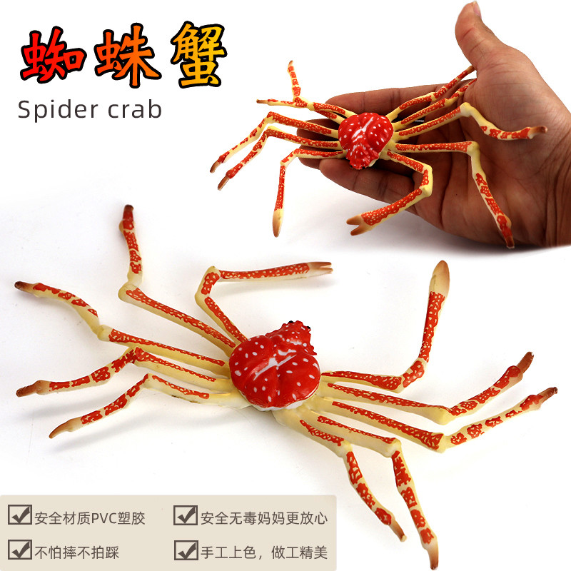 Mô Phỏng Động Vật Biển Tàu Cầu Cua Vua Nhện Cua Đồ Chơi Mô Hình Dưới Nước Thế Giới Chắc Chắn Trẻ Em 