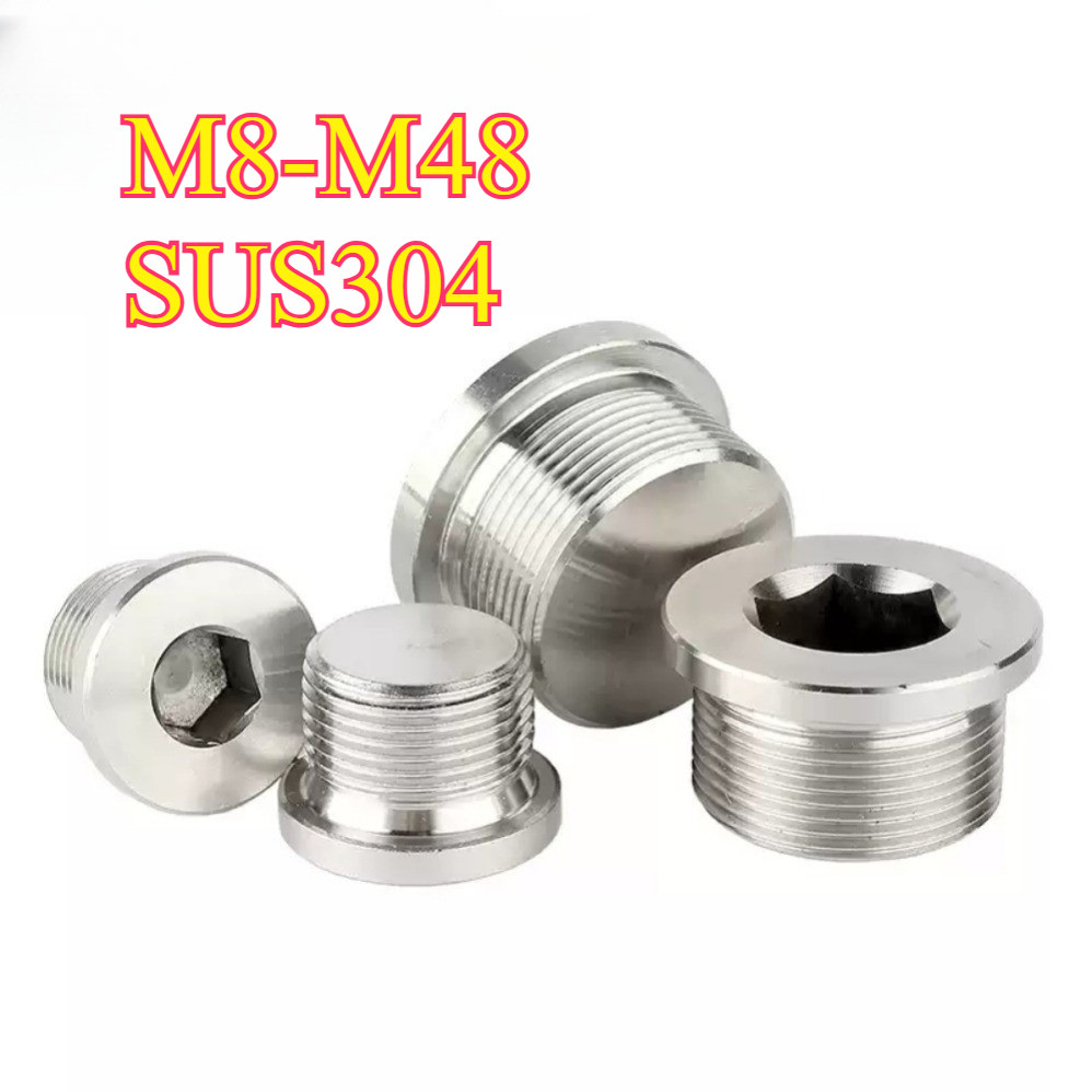 Phích cắm ống mặt bích lục giác SS304 (Chủ đề số liệu) - Phích cắm bể phốt thoát dầu cho thủy lực / 