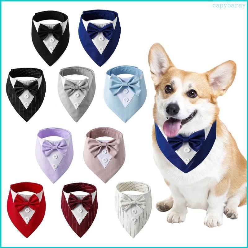 CBY Cat Collars Phù hợp với cổ áo với BowTie Đạo cụ chụp ảnh hoàng tử-canh thanh lịch