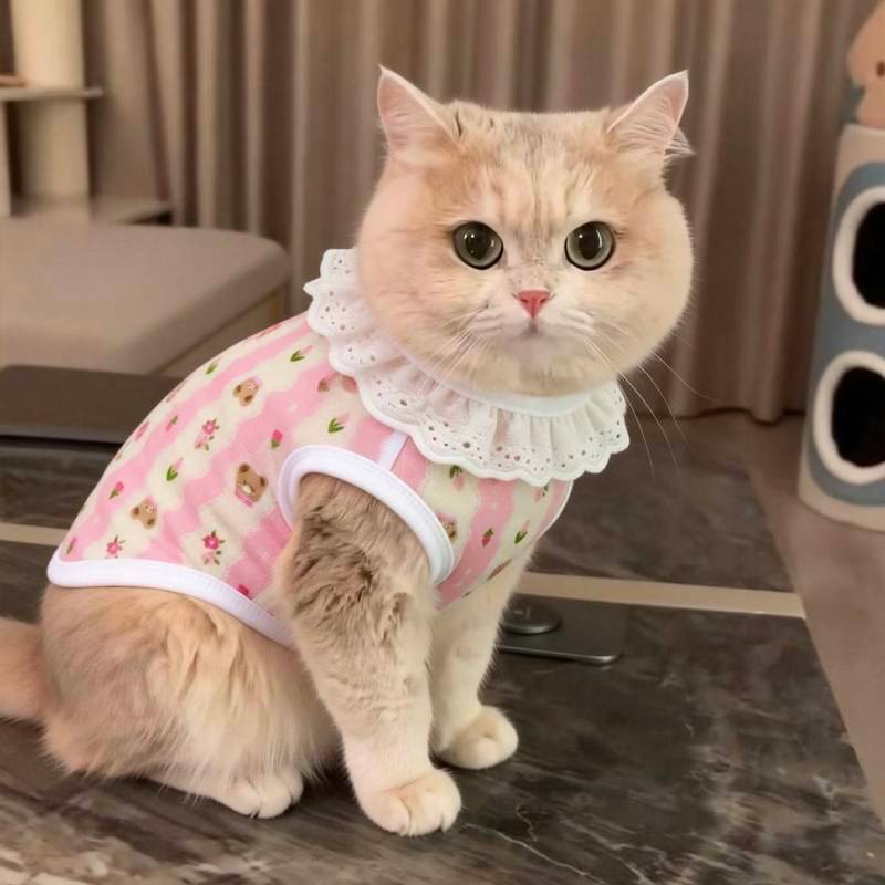 Cat Clothes Spring and Summer New Cute Lace Breathable Gold Gradual Layer Air Conditioning Clothes h