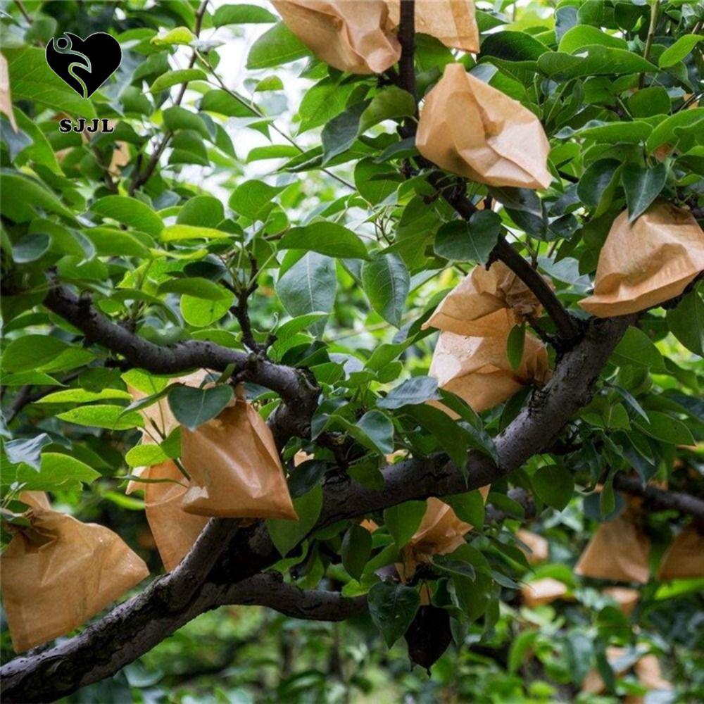 SJJL 100 Túi Bảo Vệ Trái Cây Orchard, Vỏ Bảo Vệ Nho Chống Thấm Nước Chống Chim, Dụng Cụ Làm Vườn Chi