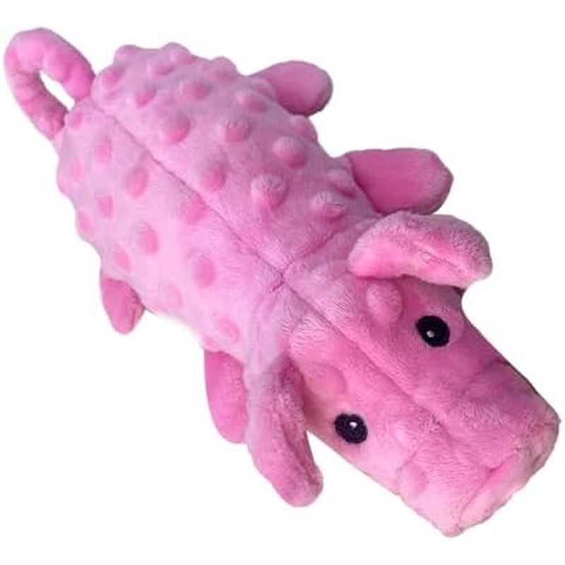 Squeaky Dog Toys Plush Dog Toy with Crinkle Paper Stuffed Durable Dog Chew Toys for Small Middle and
