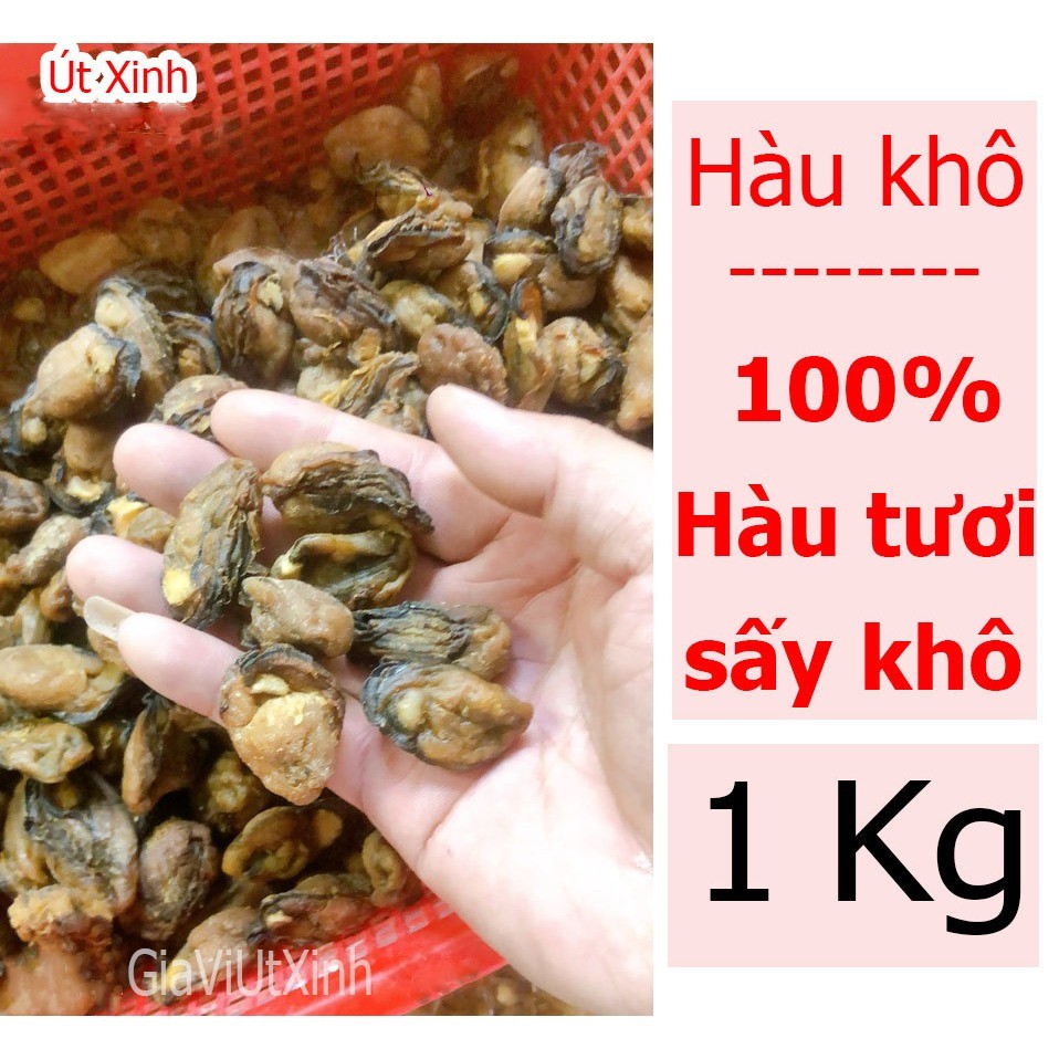 HÀU KHÔ (SIZE ĐẠI) 1KG - HÀU TƯƠI SẤY KHÔ - DRY OYSTERS .