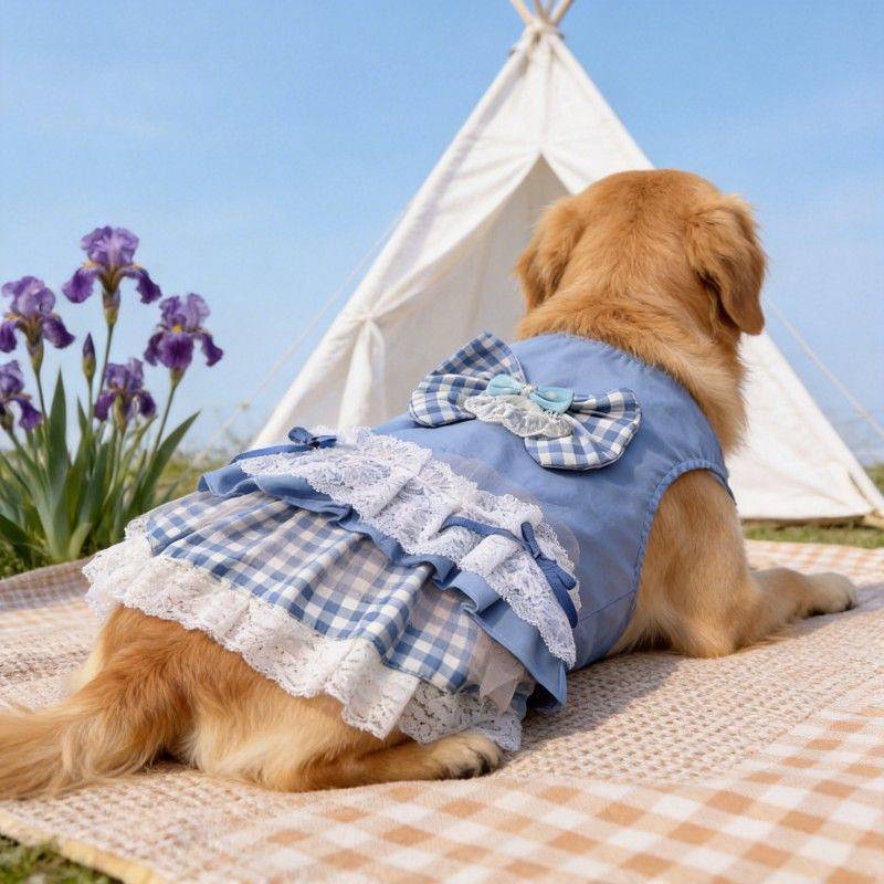 Golden Retriever Samo New Spring Dog Big Dog Clothes Pet Skirt Golden Retriever Samo New Spring Dog 