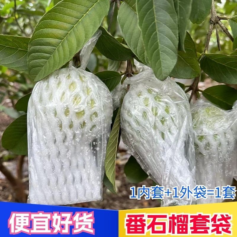 番石榴防虫套袋芭乐专用一体泡沫网眼套袋整套保护网套袋Guava insect proof sleeve bag, special all-in-one foam mesh sleeve bag for