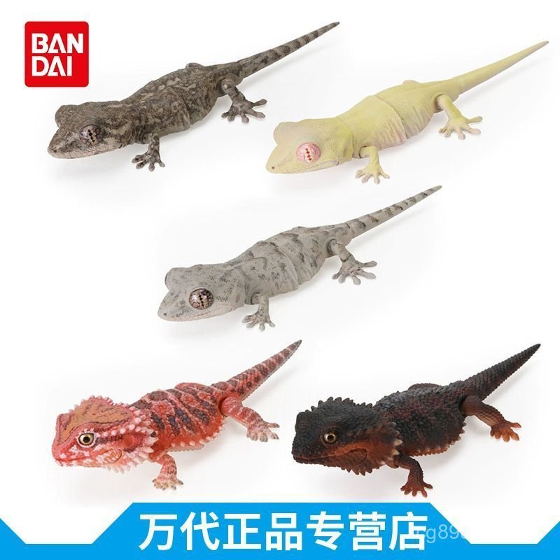 Chính Hãng Viên Đồ Chơi Sinh Học Lớn Minh Họa Sách Gecko Gecko Râu Thằn Lằn Mô Phỏng Động Vật Đồ Tra