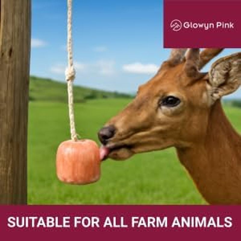 Kéo dài – Khối muối trên Live 4.0 Glowyn và Lick-Natural Salt Rope Horses, Lick - Bò, Hồng Himalaya 
