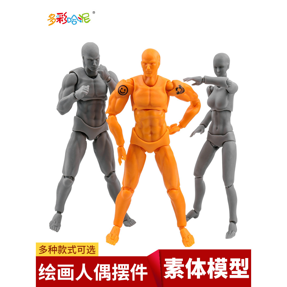 Cơ Thể figma Mô Hình Lưới Cố Định Hoạt Hình Nam Nữ Cơ Thể Hình Nghệ Thuật Cơ Thể Mô Hình Tranh Búp B