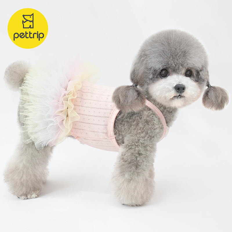 Beitou Chó Thú Cưng Quần Áo Mùa Hè Sling Váy Bichon Teddy Puppy Công Chúa Gạc Váy Cầu Vồng Gạc Sling