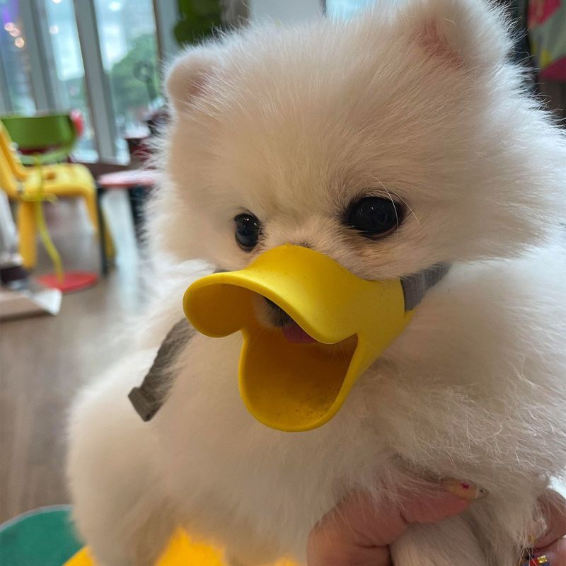 狗狗鸭嘴套防咬叫乱吃嘴罩止吠器可喝水口罩泰迪柯基小型幼犬神器4.22Dog Muzzle to Prevent Biting, Barking, and Eating Foreign Objects,