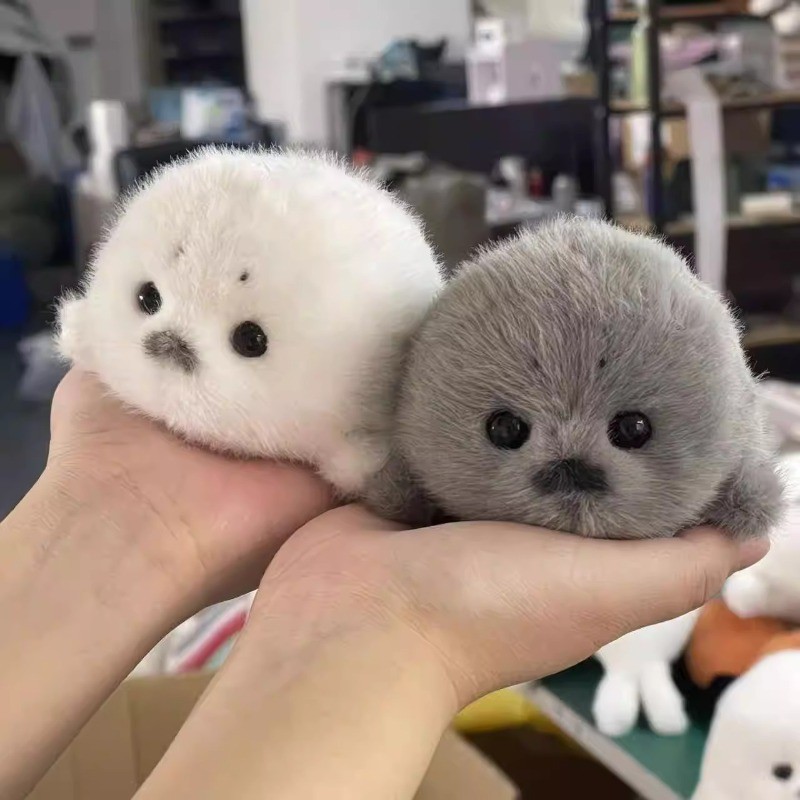 Dễ Thương Mini Seal Sang Trọng Đồ Chơi Mềm Kawaii Bé Cói Thú Nhồi Bông Lông Tơ Kích Thước Túi Plushi