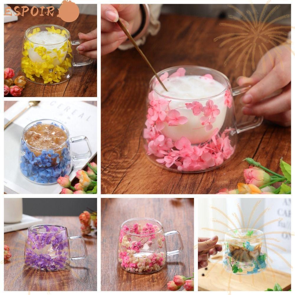 Cốc thủy tinh hai lớp ESPOIR, Cốc cà phê hai lớp thủy tinh, có tay cầm Cappuccino Hot Latte Cup Home
