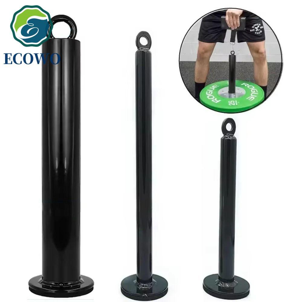 AQUAGEM Fitness Loading Pin - Giá đỡ đĩa trọng lượng và cáp nâng điện cho tập sức mạnh