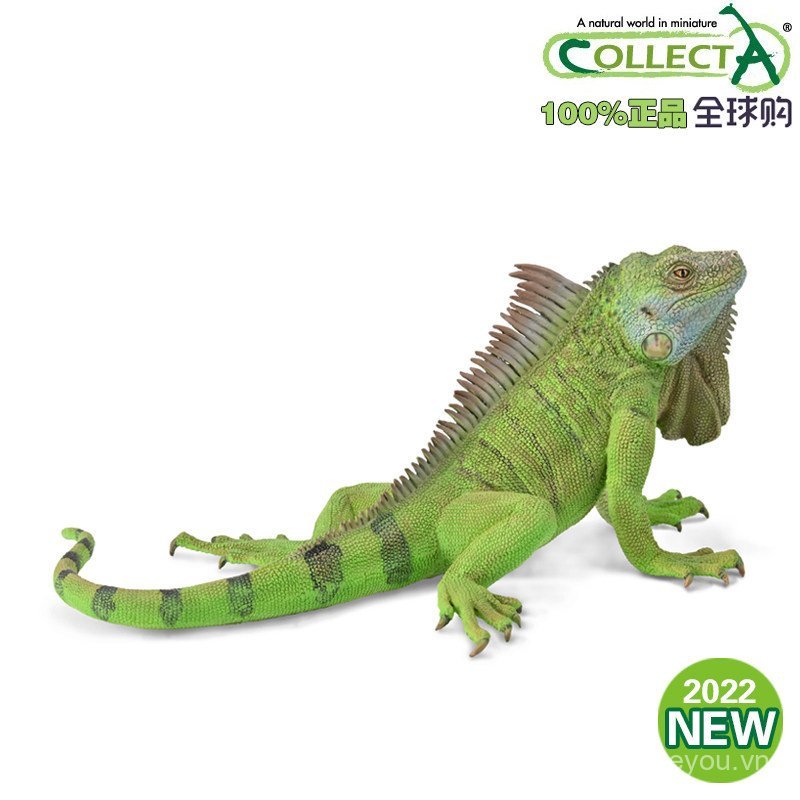 Anh ColletA Me You He Mô Phỏng Thằn Lằn Côn Trùng Bò Sát Thú Cưng Đồ Chơi Mô Hình 88965 Mỹ Iguana CB