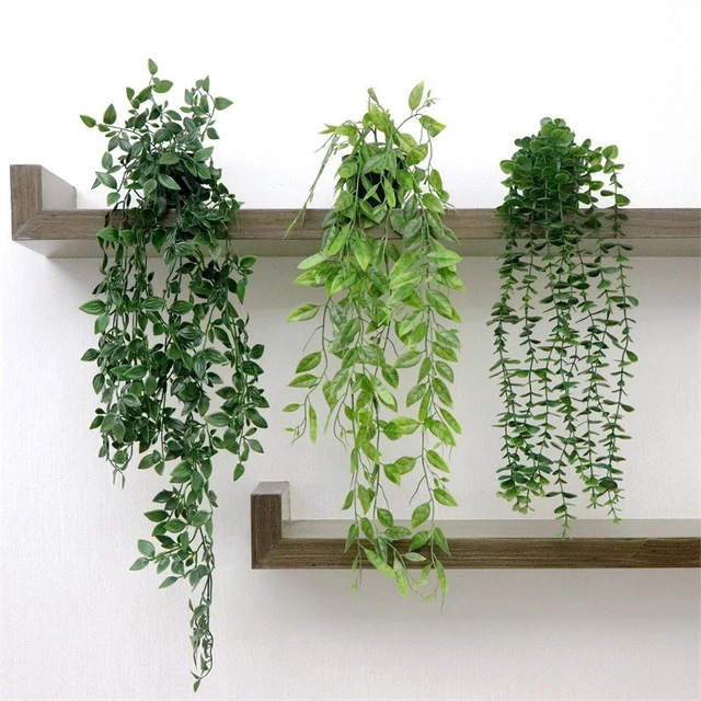 80cm Cây Giả Treo Tường Dây Leo Nhân Tạo Kèm Chậu Trang Trí Nhà Cửa Văn Phòng Ban Công Cao Cấp