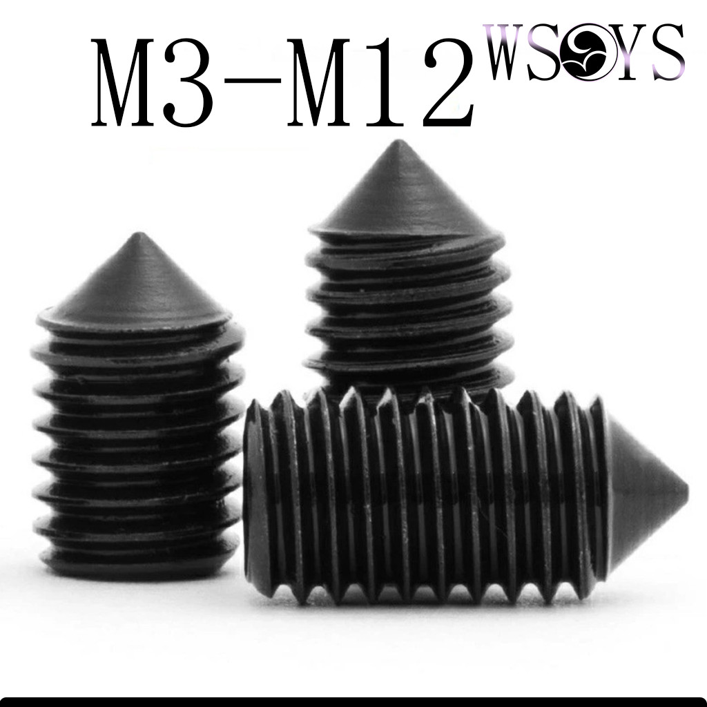 [WSYS-WJ] Vít cố định vít cấp 12.9 Máy mũi nhọn Vít M3-M12