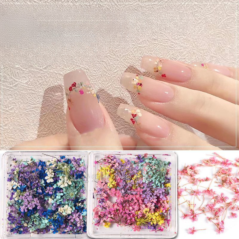 Nhật Bản Pháp Henna Trang Sức Nhiều Màu Sắc Nguyên Chất Tự Nhiên Cánh Hoa Nhỏ Hoa Khô Móng Tay