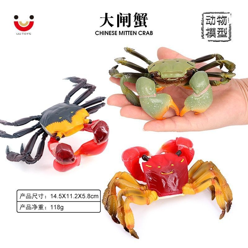 Mô Phỏng Động Vật Biển Cua Chắc Chắn Mô Hình Lông Cua Lông Cua Cua Mầm Non Giáo Dục Đồ Chơi Nhận Thứ