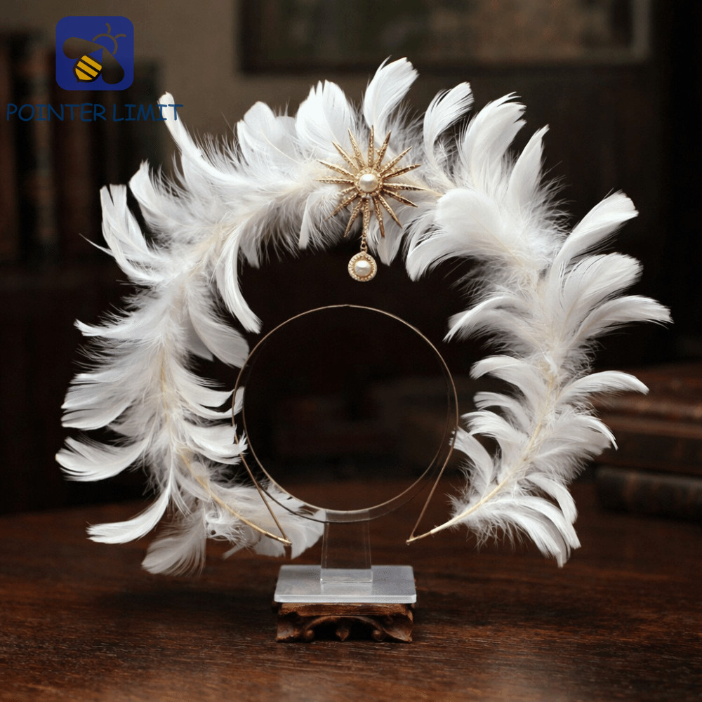 POINTER LIMIT Feather Glory Crown Headband, Glory Shape Dress Up Props Virgin Mary Queen Tiara, Hai 