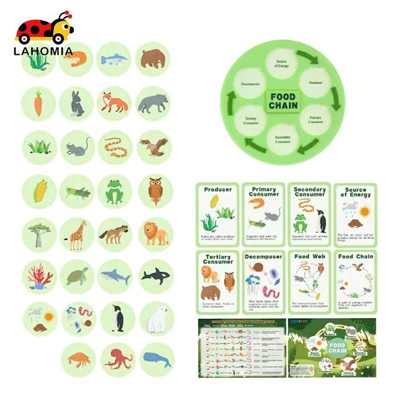 LAHOMIA Food Chain Fun Learning Life Cycle Kit cho 3 4 5 6 7 8 Lớp Học Mầm Non