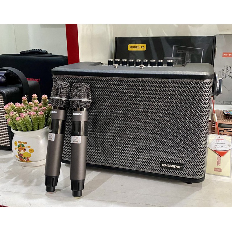 Loa karaoke xách tay cao cấp Temeisheng GD66-82 New 2024 - Hàng Chính Hãng Temeisheng, Nhập khẩu ngu