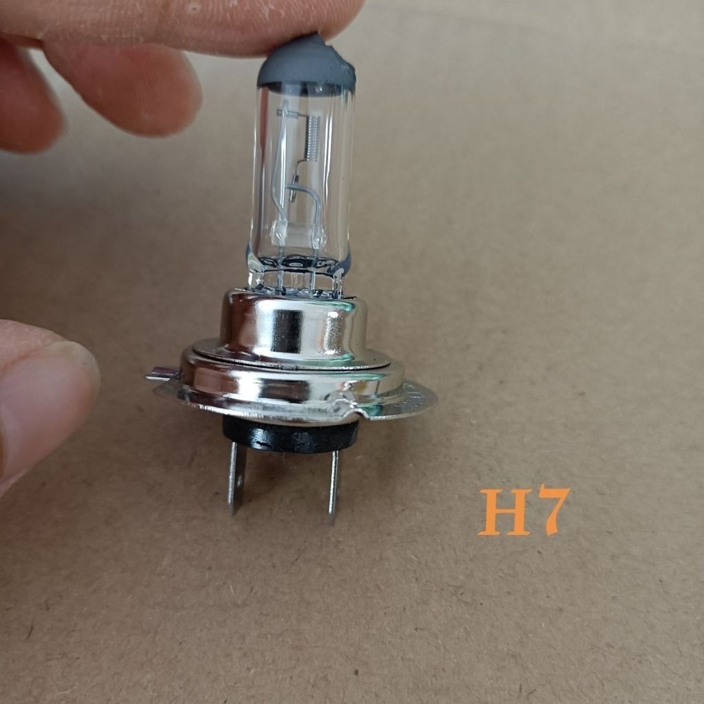 Bóng Đèn H7 12v 55W 24V 70W Đèn Pha Ô Tô Chùm Cao / Chùm Thấp Đèn Halogen H7 Chùm Cao
