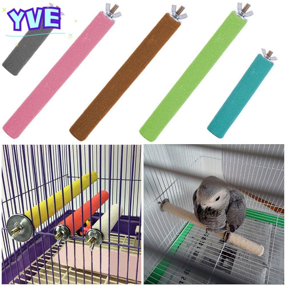 YVE Color Random Station Chew Toy Mài gỗ sạch