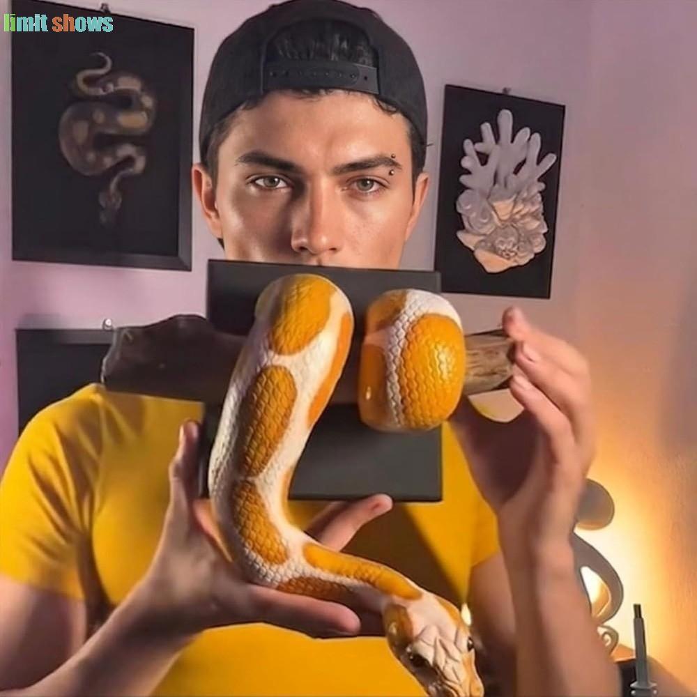 GIỚI HẠN HIỂN THỊ Quả bóng vàng Nghệ thuật treo tường Python, Gothic Accent Điêu khắc rắn kim loại 3