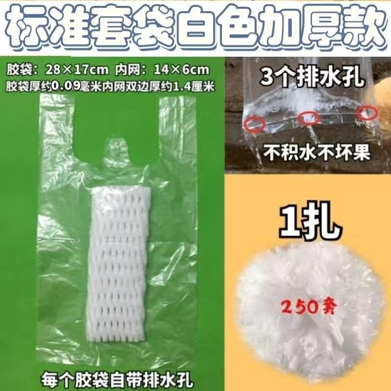 芭乐专用防水防虫网袋番石榴套袋一体水果防护果套袋Guava insect proof sleeve bag, special all-in-one foam mesh sleeve bag for g