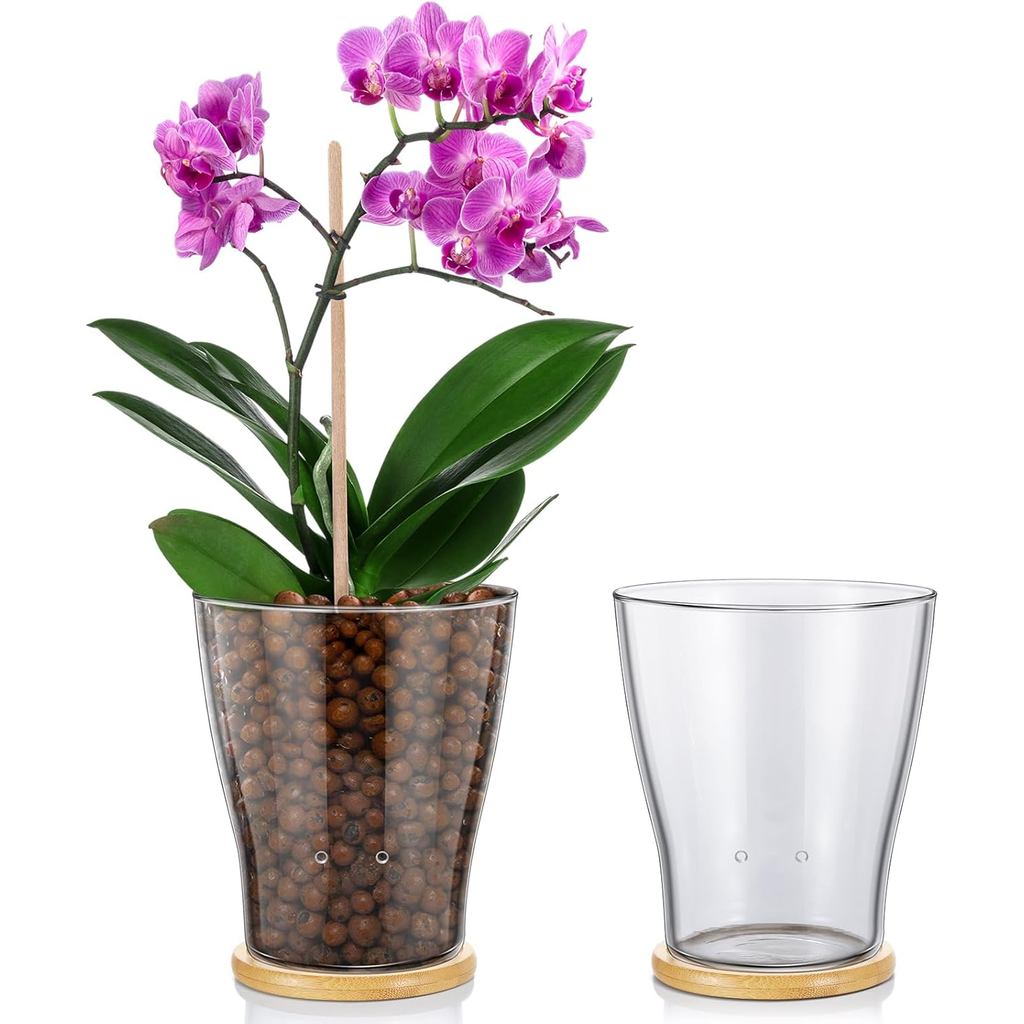 Chậu hoa lan thủy tinh Baderke có lỗ và khay tre Nồi thủy tinh Kiểm soát mực nước Bán thủy canh Rễ t