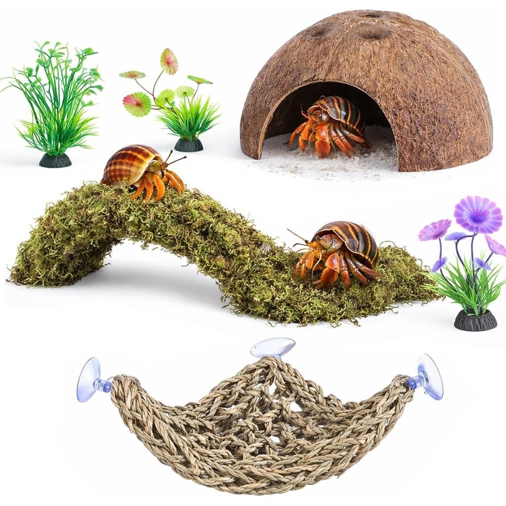 Phụ kiện cua ẩn sĩ HERCCOCCI, 6 món Đồ chơi cua ẩn sĩ Vỏ dừa Hut Leo võng Cây nhân tạo cho cua ẩn sĩ