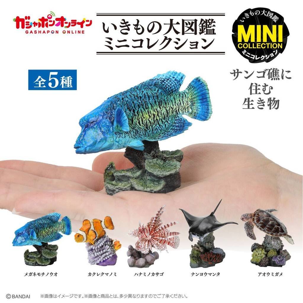 Hàng sẵn có WANDAI Ocean Illustrated Book Coral Reef Habitat Clownfish Capsule Toy