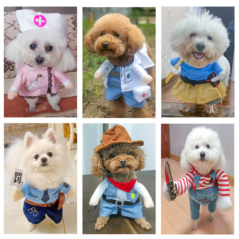 Douyin Cùng Phong Cách Influencer Quần Áo Mèo Thẳng thắn Ngộ nghĩnh Quần Áo Teddy Thú Cưng Chó Mùa H