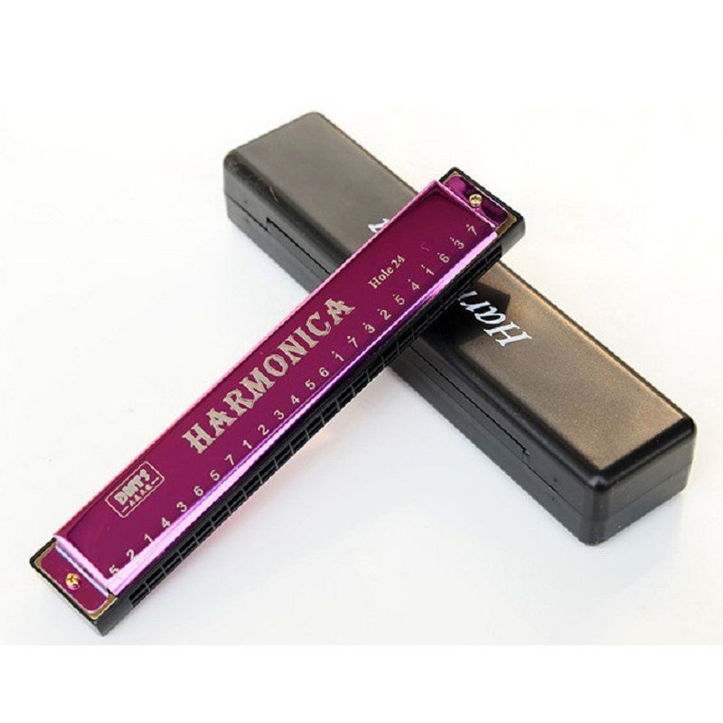 Bruce Harmonica Người Mới Bắt Đầu 10 Lỗ 24 Lỗ Học Sinh Trẻ Em Harmonica Tự Học Giới Thiệu Tiểu Học P
