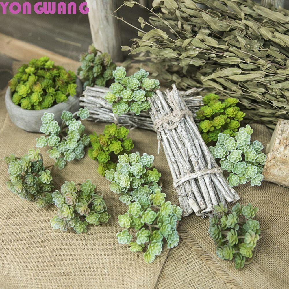 Cây mọng nước nhân tạo YONGWANG66HR, Cây xương rồng nhân tạo Mini 24 đầu bằng nhựa, Xương rồng mô ph