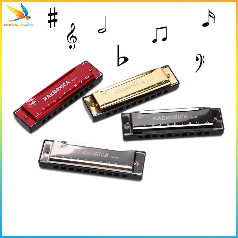 Harmonica 10 lỗ dành cho người mới bắt đầu chơi nhạc