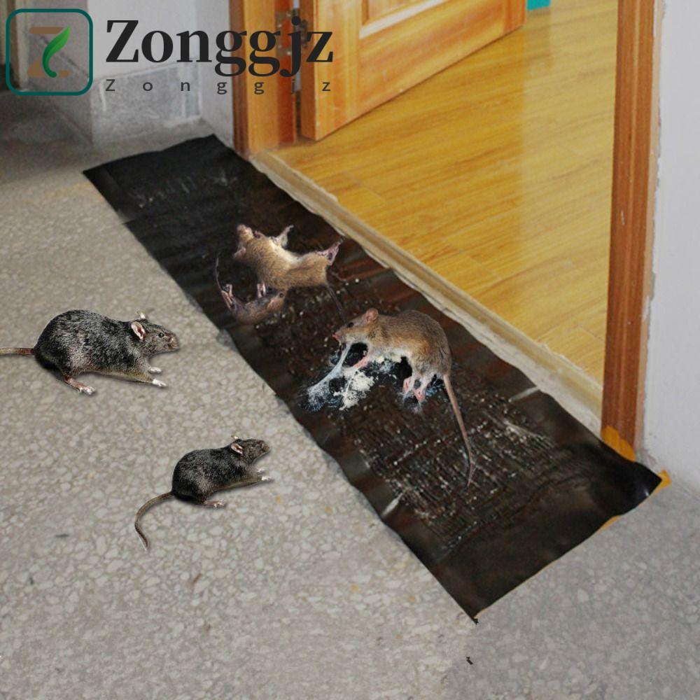 Thảm keo chống chuột ZONGGJZ, Bẫy keo chuột kiểm soát dịch hại diệt côn trùng diệt côn trùng, Chuột 