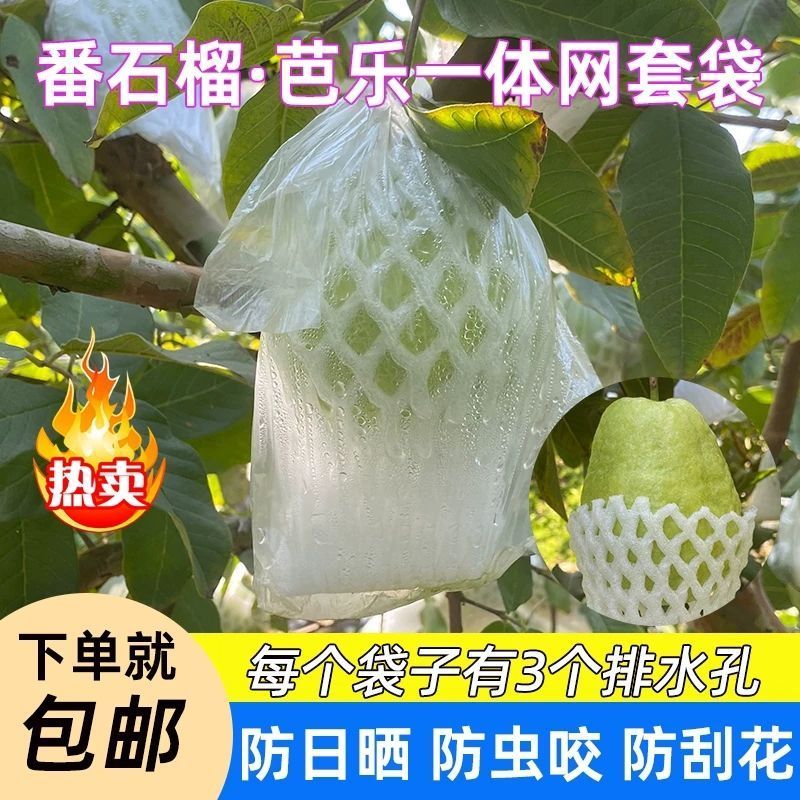 番石榴套袋网袋芭乐防虫网袋专用一体泡沫包装袋石榴袋水果网套Guava insect proof sleeve bag, special all-in-one foam mesh sleeve bag 