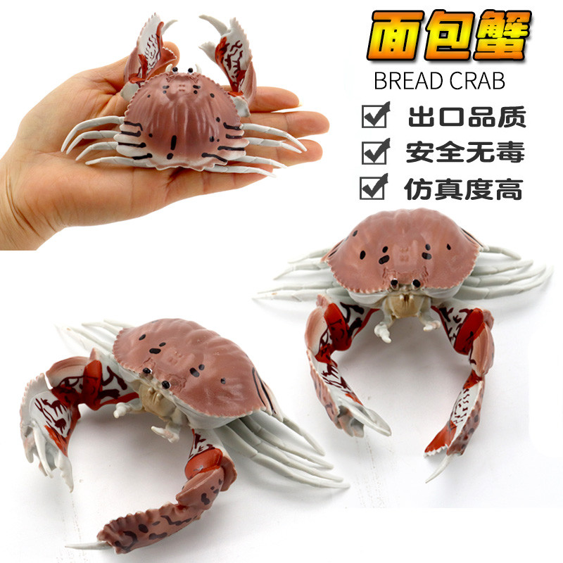 Mô Phỏng Bánh Mì Cua Cua Vua Cua Mô Hình Tôm Hùm Đồ Chơi Nhựa Chắc Chắn Đồ Trang Trí Động Vật Biển T