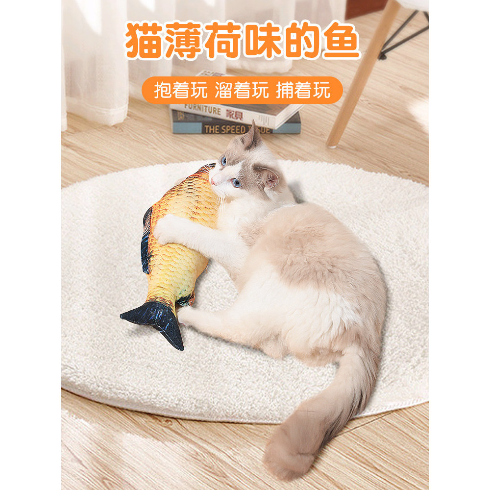 Mèo Răng Hàm Đồ Chơi Cá Thật Tease Đồ Chơi Mèo Tự Ăn Cho Mèo Đồ Chơi Mèo Con Đồ Chơi Mèo Con Đồ Chơi
