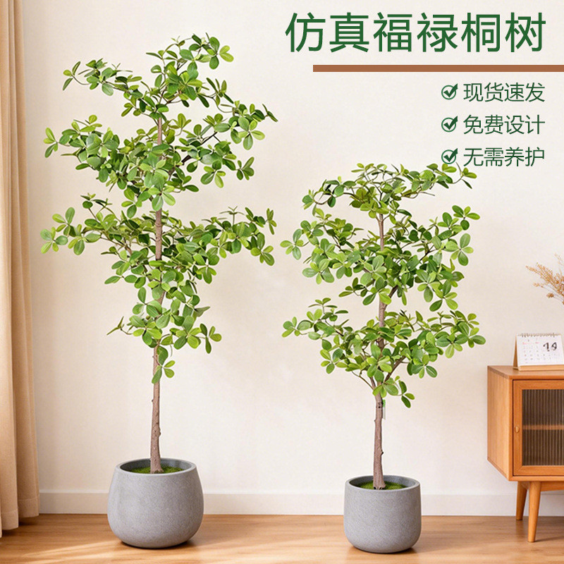 Cây Fulong nhân tạo trong nhà sáng tạo, trang trí nhà cửa, phong cách đơn giản, dễ bảo quản, cây xan