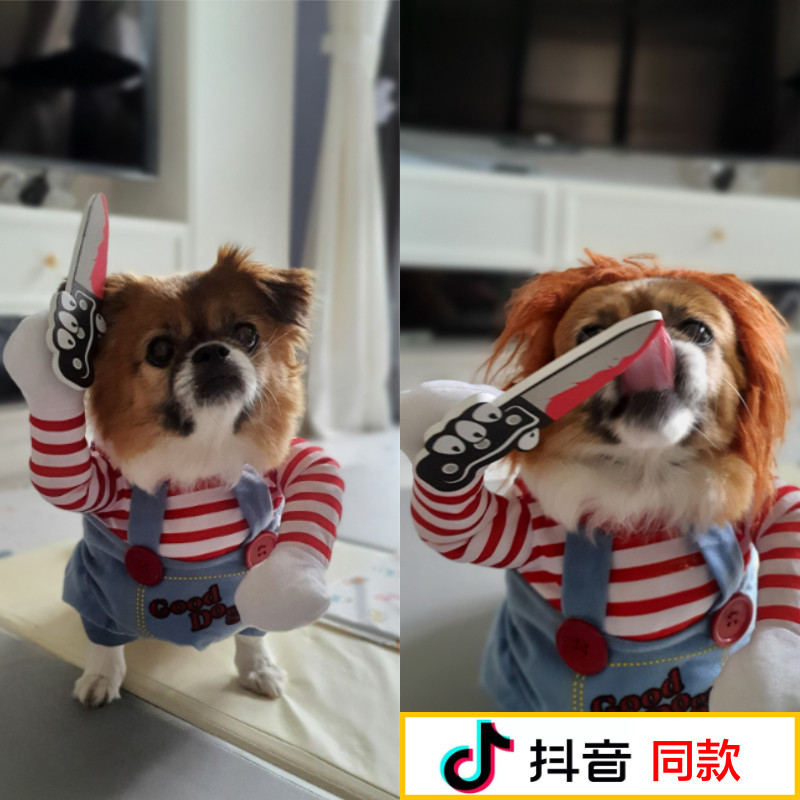 Quần Áo Cho Chó Douyin Cùng Phong Cách Quần Áo Ngộ nghĩnh Dễ Thương Trang Phục Ngộ nghĩnh Mèo Con Te